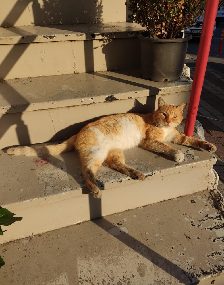 WhatsApp Image 2026-04-24 at 20.35.28.jpeg