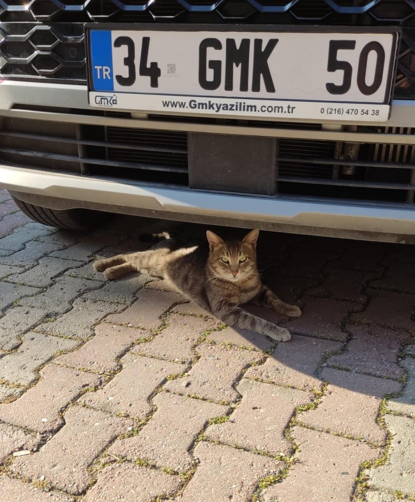 WhatsApp Image 2026-04-24 at 20.35.29 (1).jpeg