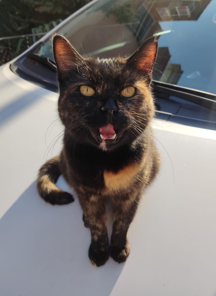 WhatsApp Image 2026-04-24 at 20.35.30.jpeg