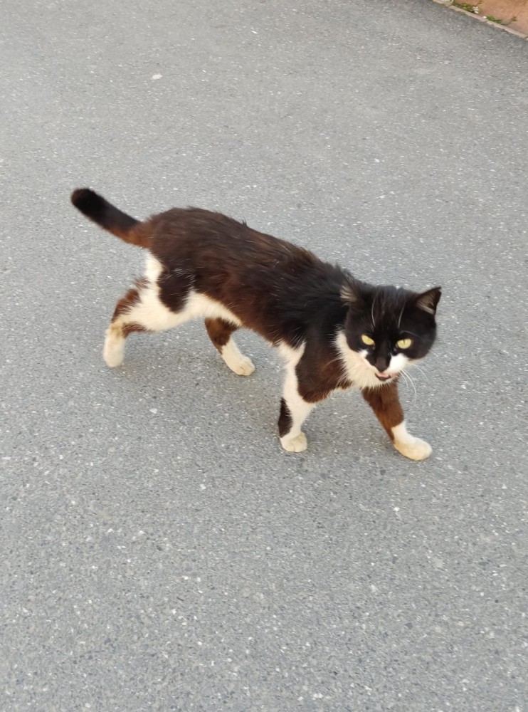 WhatsApp Image 2026-04-24 at 20.35.32.jpeg