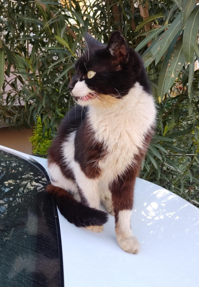 WhatsApp Image 2026-04-24 at 20.35.31.jpeg