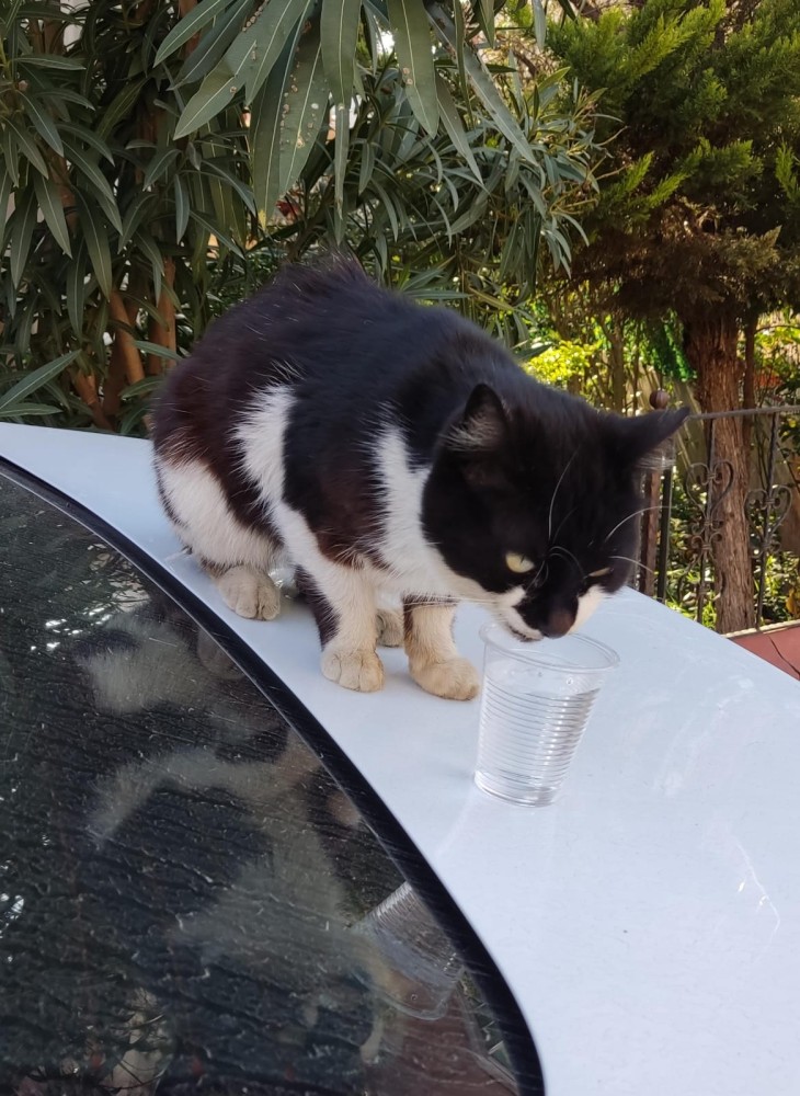 WhatsApp Image 2026-04-24 at 20.35.30 (1).jpeg