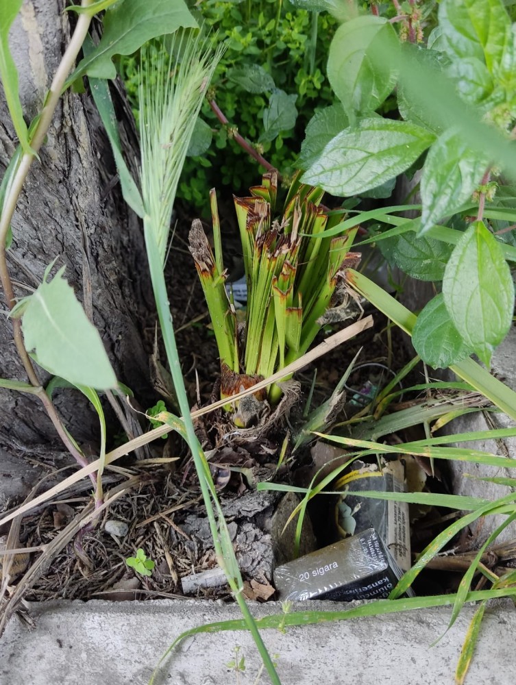 WhatsApp Image 2026-04-24 at 20.35.28 (2).jpeg