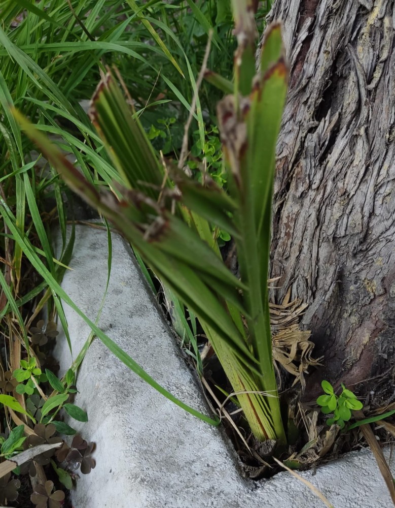 WhatsApp Image 2026-04-24 at 20.35.29.jpeg