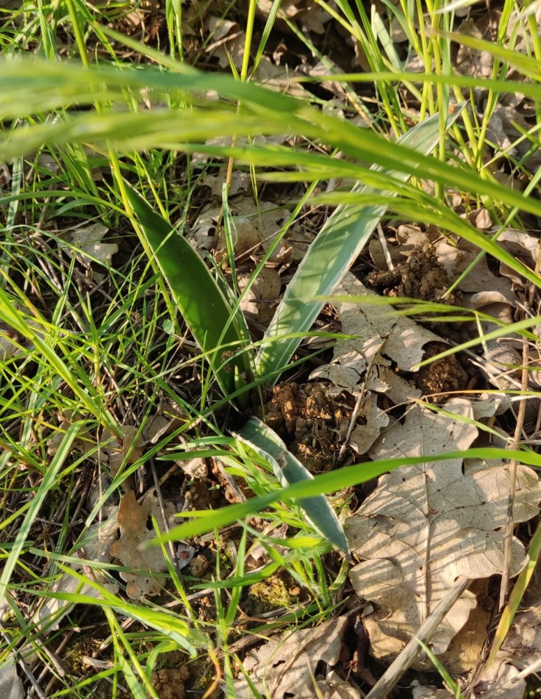 WhatsApp Image 2026-04-24 at 20.35.26 (1).jpeg