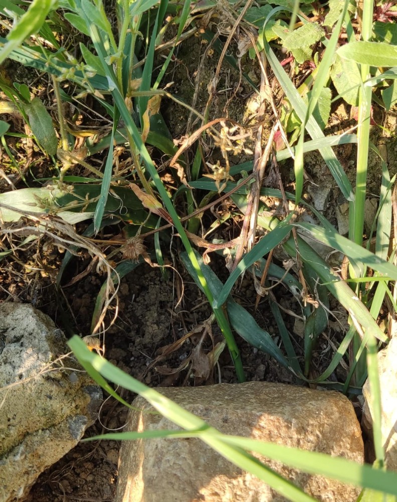 WhatsApp Image 2026-04-24 at 20.35.27.jpeg