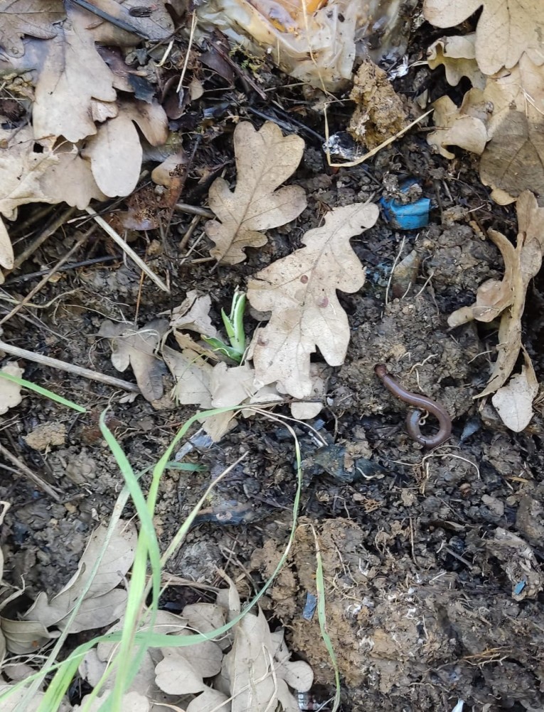 WhatsApp Image 2026-04-24 at 20.35.26.jpeg