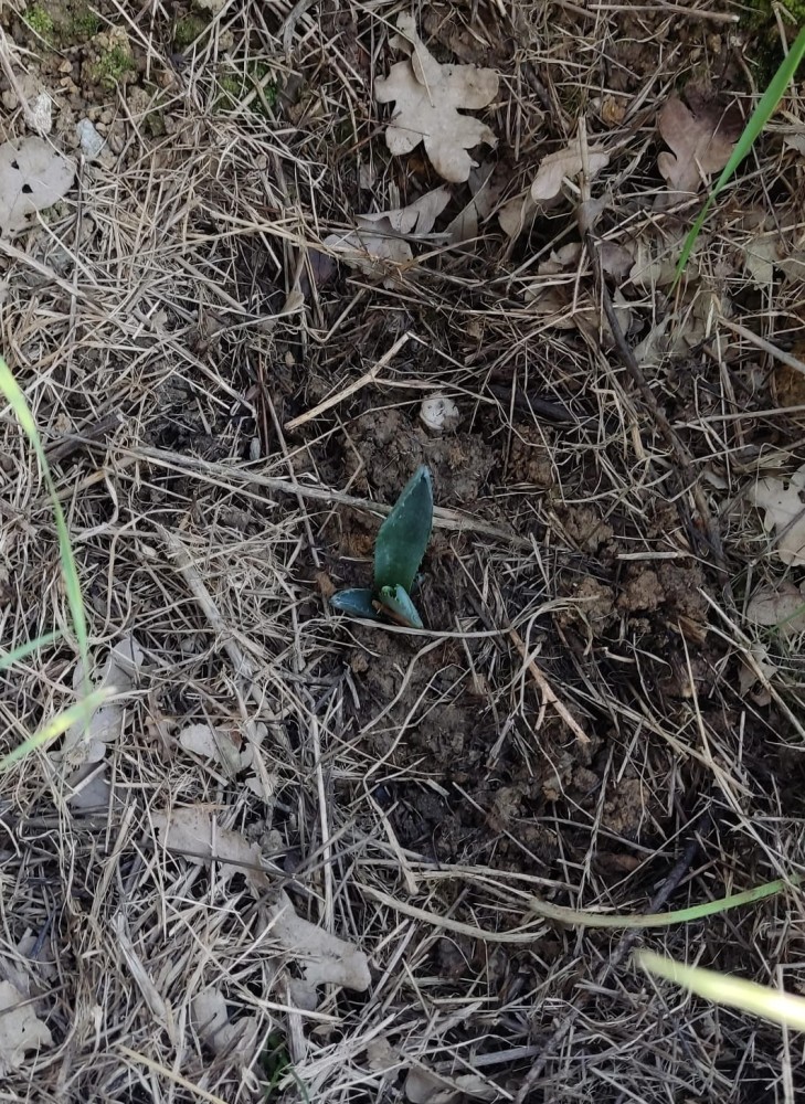 WhatsApp Image 2026-04-24 at 20.35.25 (2).jpeg