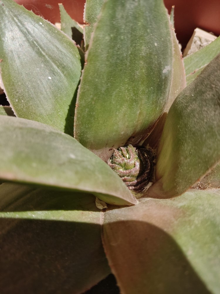 WhatsApp Image 2026-04-26 at 21.29.13 (2).jpeg