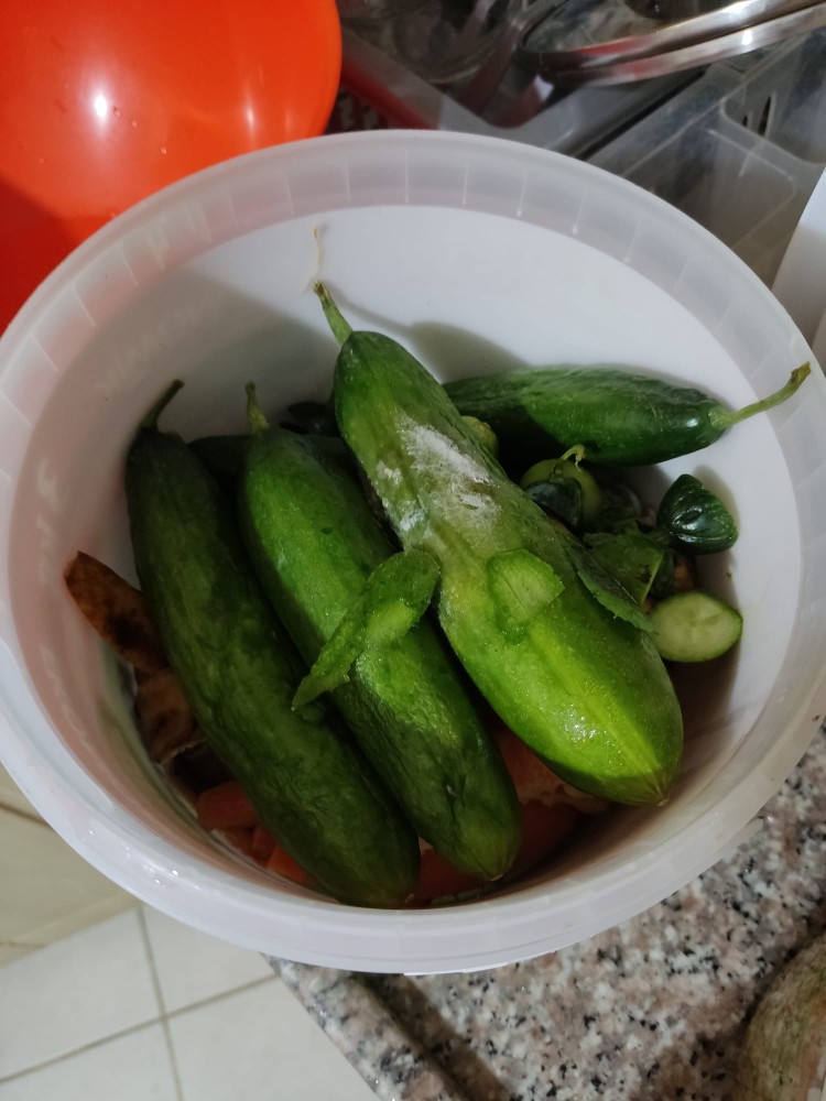 WhatsApp Image 2026-04-26 at 21.29.08.jpeg