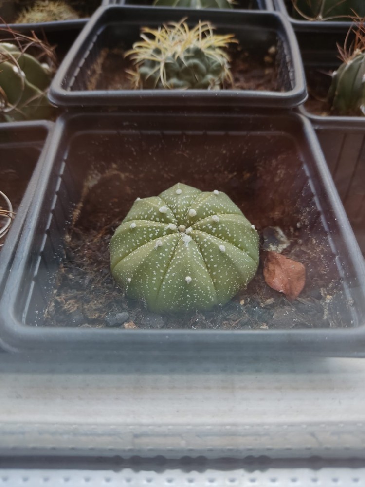 WhatsApp Image 2026-04-27 at 20.23.18(1).jpeg