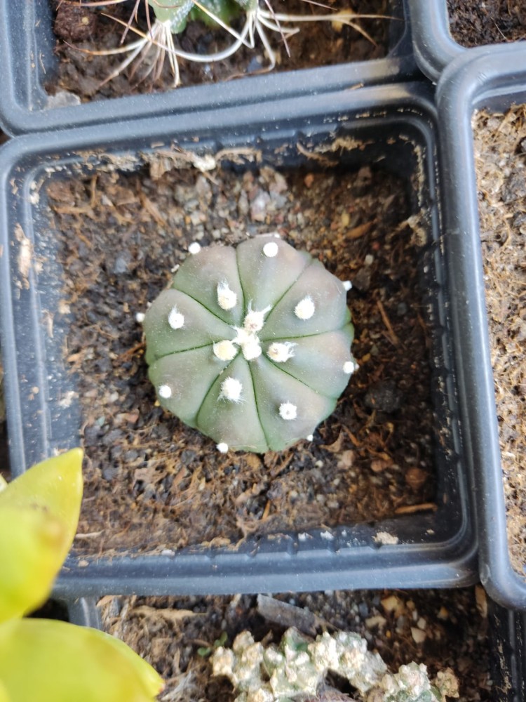 WhatsApp Image 2026-04-27 at 20.23.18.jpeg