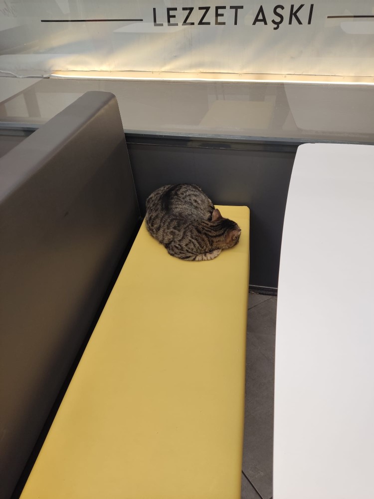 WhatsApp Image 2026-04-25 at 22.18.16.jpeg