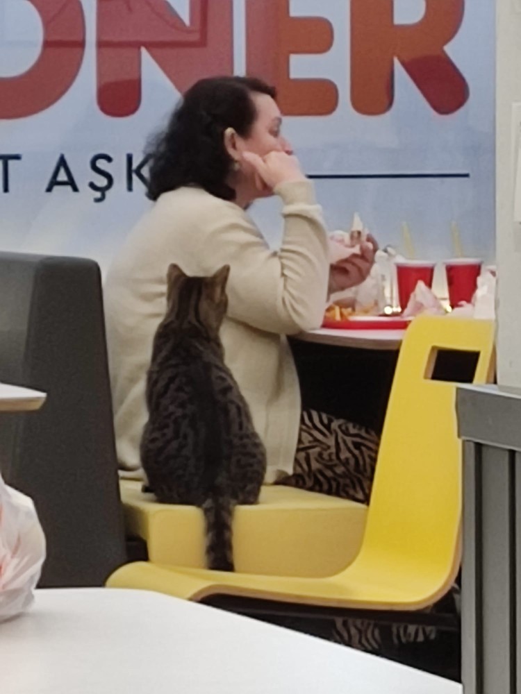 WhatsApp Image 2026-04-25 at 22.18.15.jpeg