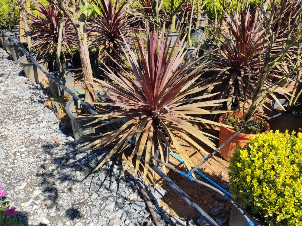 WhatsApp Image 2026-04-25 at 22.18.37 (2).jpeg