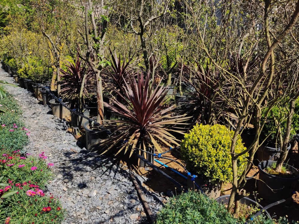 WhatsApp Image 2026-04-25 at 22.18.38 (2).jpeg