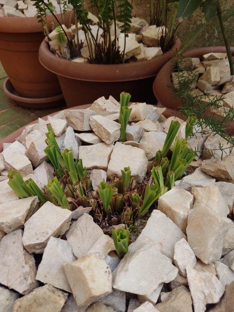 WhatsApp Image 2026-04-26 at 21.29.10 (1).jpeg