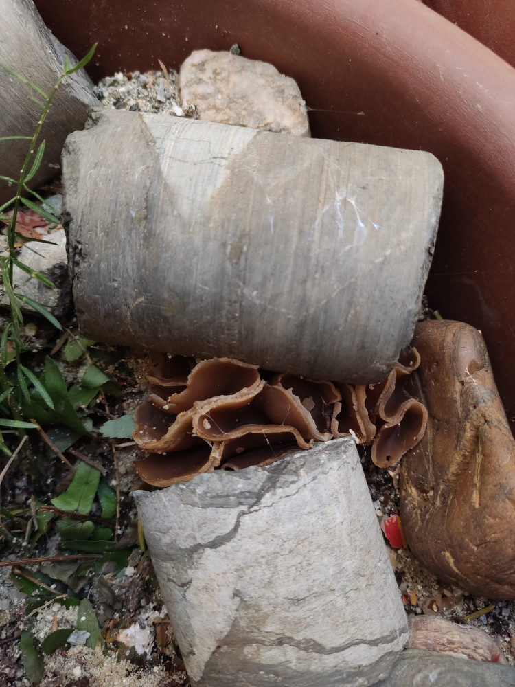 WhatsApp Image 2026-04-26 at 21.29.12.jpeg