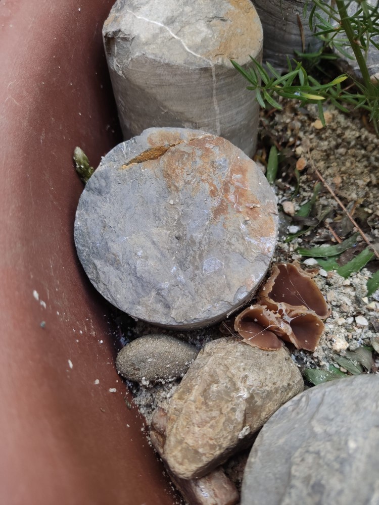 WhatsApp Image 2026-04-26 at 21.29.12 (1).jpeg