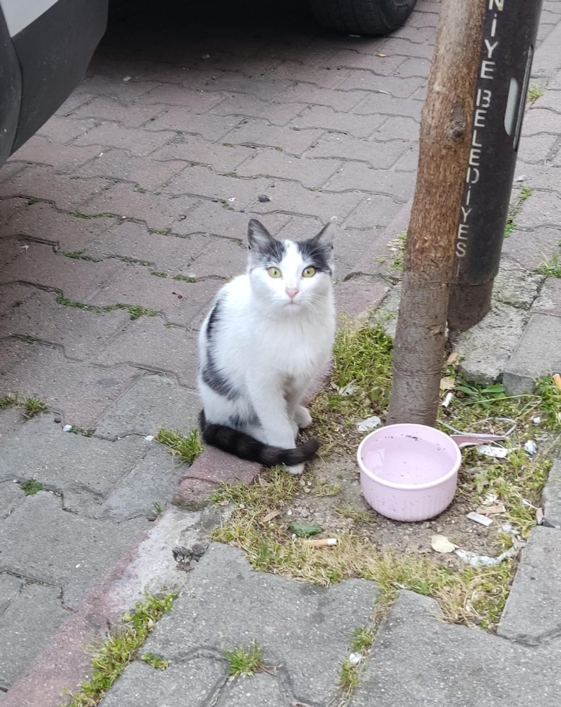 WhatsApp Image 2026-04-28 at 21.37.07.jpeg