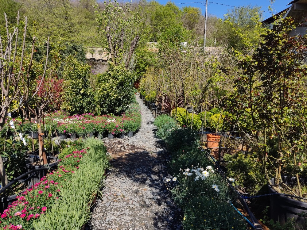 WhatsApp Image 2026-04-25 at 22.18.38 (1).jpeg