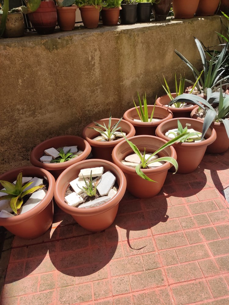 WhatsApp Image 2026-04-26 at 21.29.13.jpeg