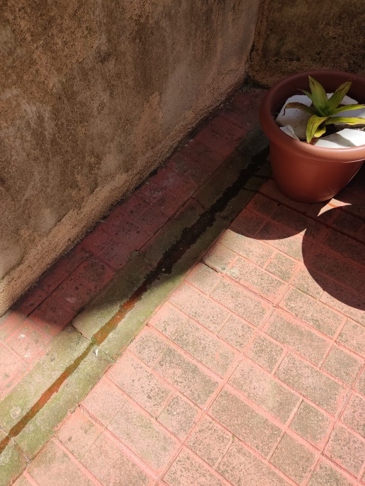 WhatsApp Image 2026-04-26 at 21.29.14 (3).jpeg