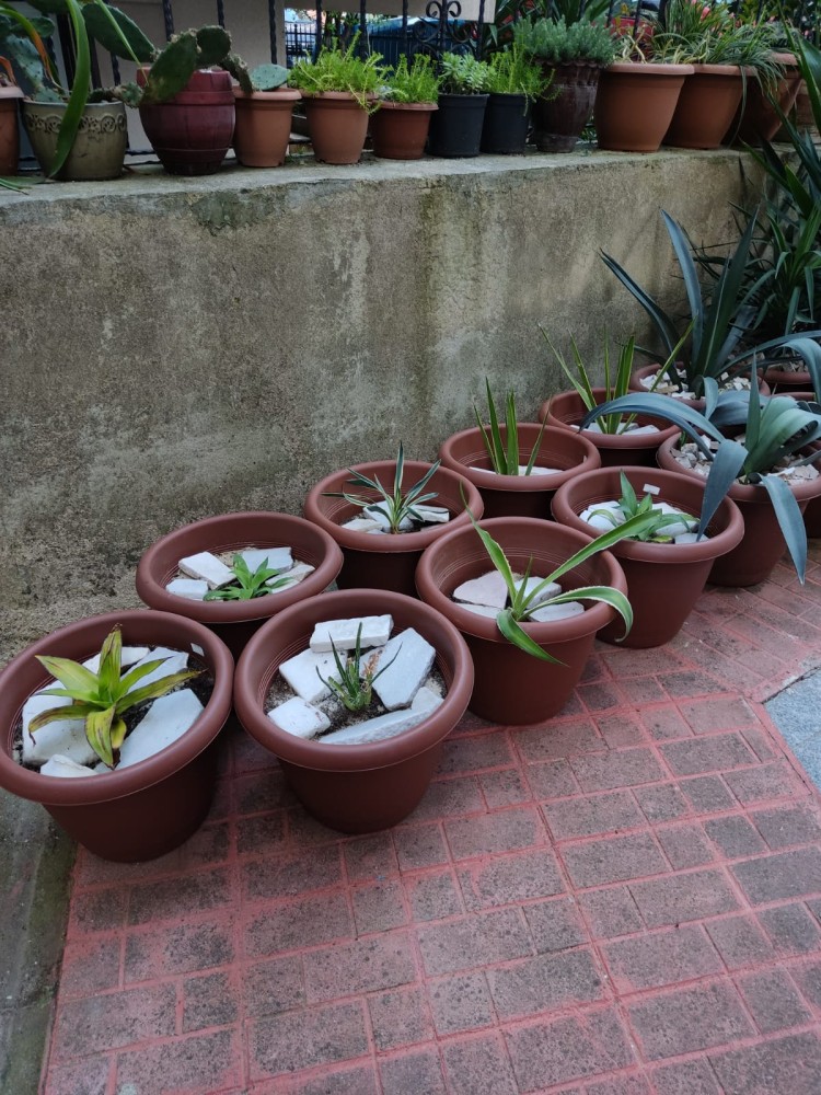 WhatsApp Image 2026-04-27 at 20.23.03.jpeg