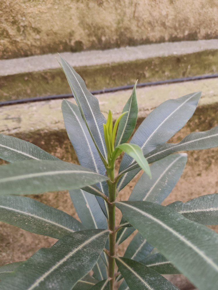 WhatsApp Image 2026-04-26 at 21.29.11 (1).jpeg