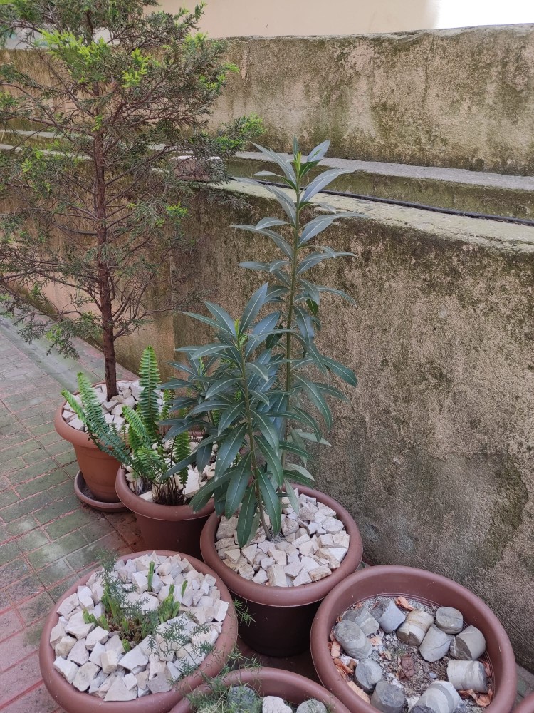 WhatsApp Image 2026-04-26 at 21.29.11.jpeg