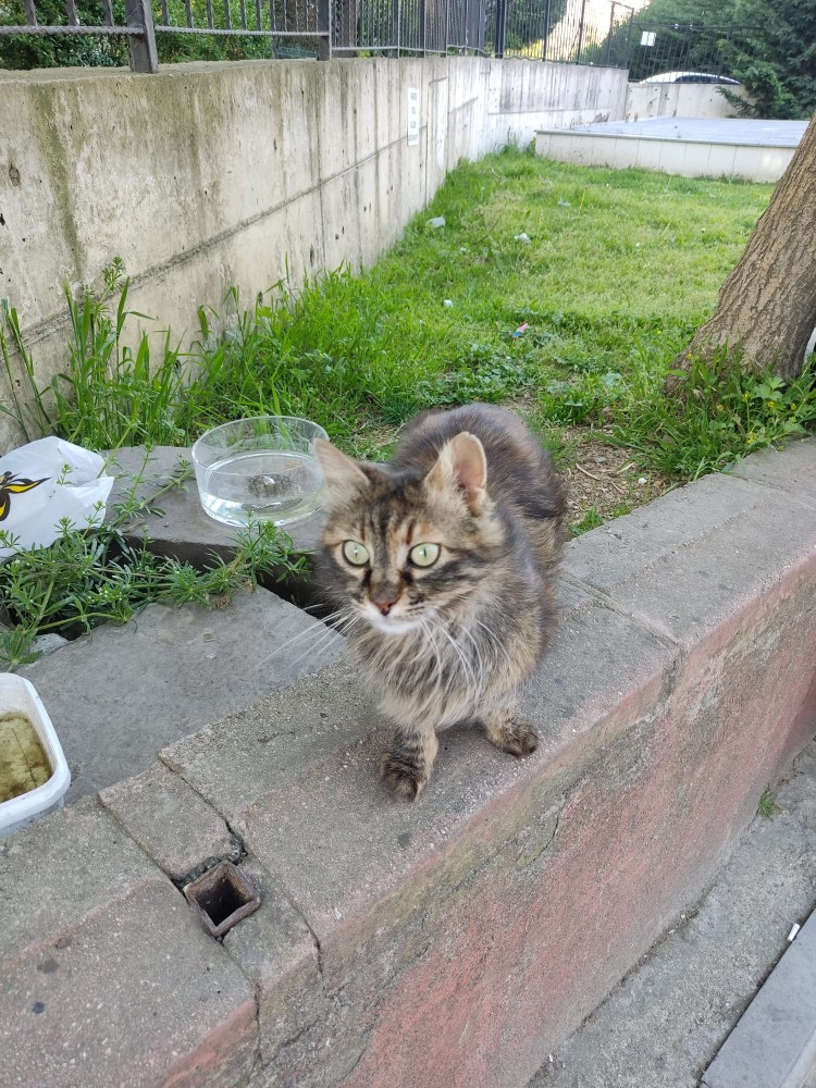 WhatsApp Image 2026-04-25 at 22.18.17.jpeg