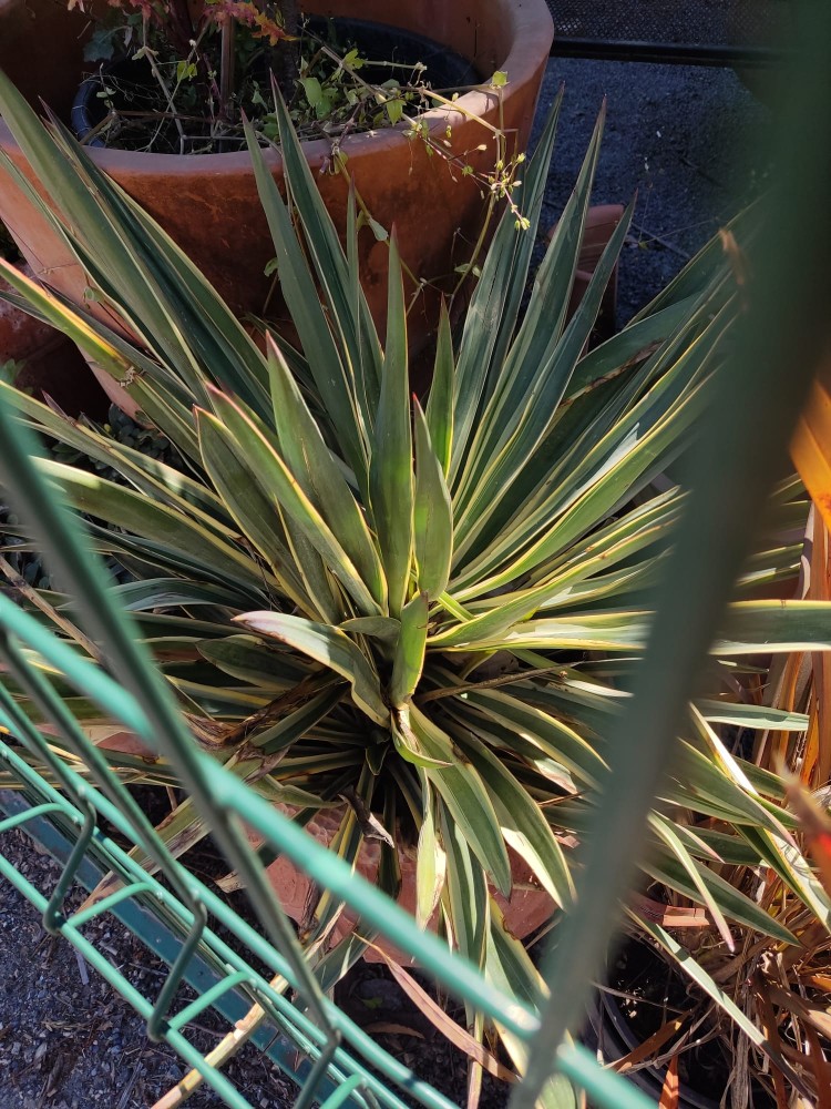 WhatsApp Image 2026-04-25 at 22.18.37 (3).jpeg