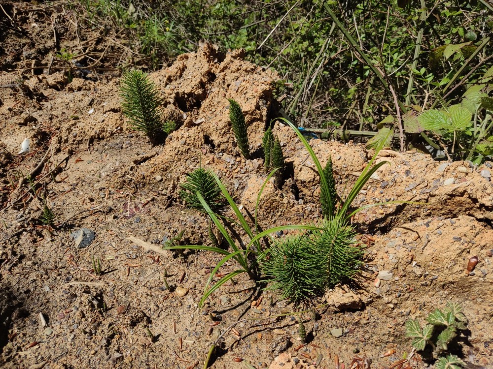 WhatsApp Image 2026-04-25 at 22.18.17 (2).jpeg