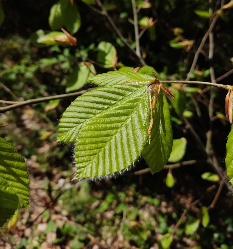 WhatsApp Image 2026-04-25 at 22.18.20.jpeg