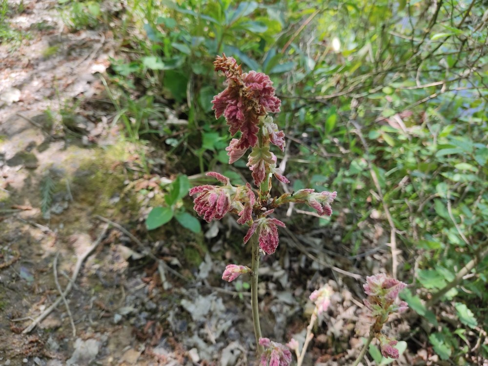 WhatsApp Image 2026-04-25 at 22.18.23 (1).jpeg