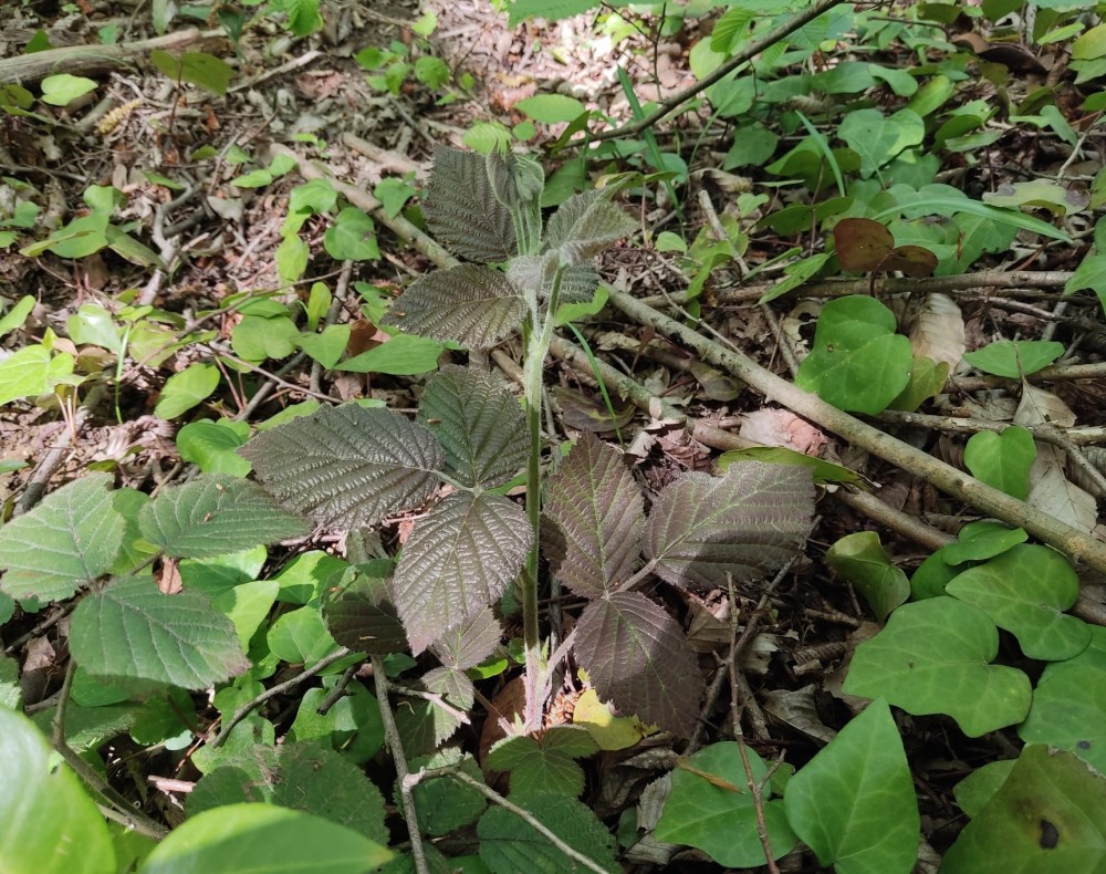 WhatsApp Image 2026-04-25 at 22.18.23 (3).jpeg