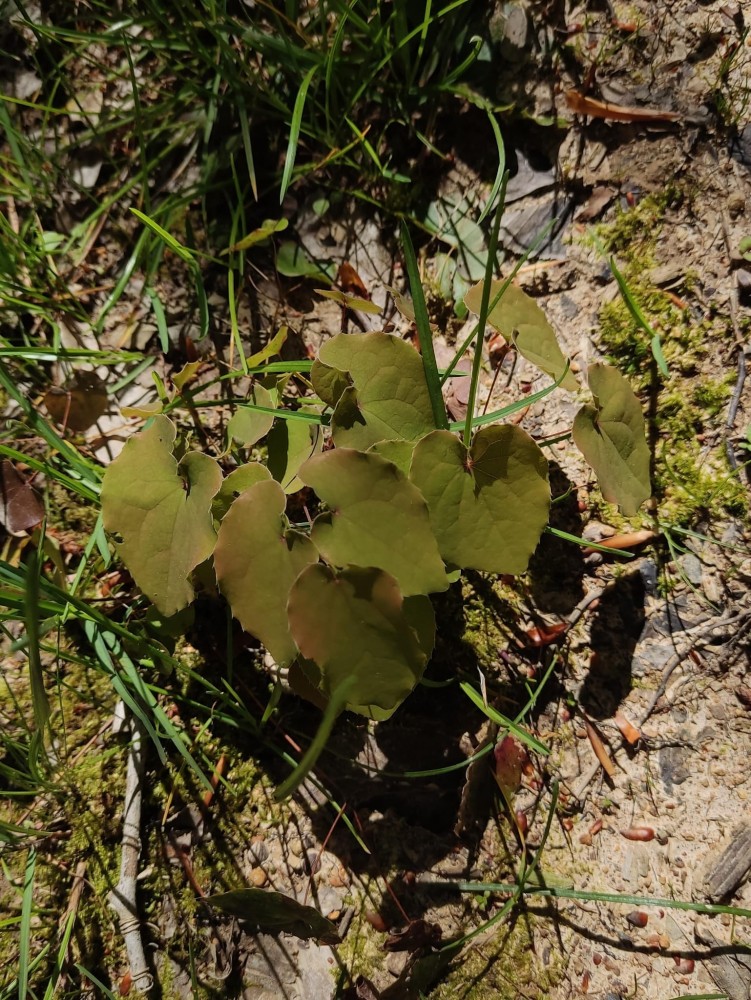 WhatsApp Image 2026-04-25 at 22.18.25 (1).jpeg