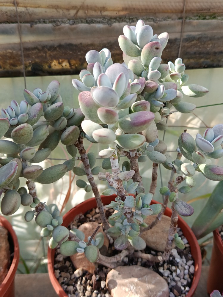 17784312108565468269500973404505.jpg