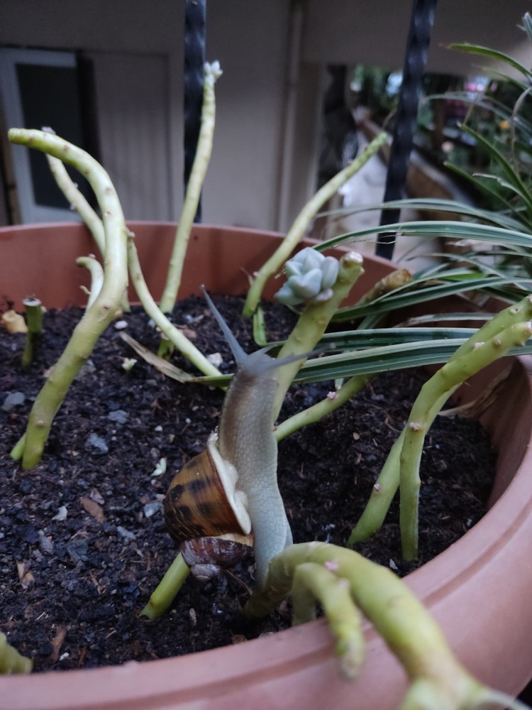 WhatsApp Image 2026-05-21 at 08.09.48.jpeg
