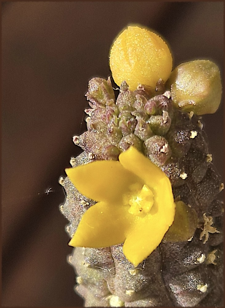 497.jpg
