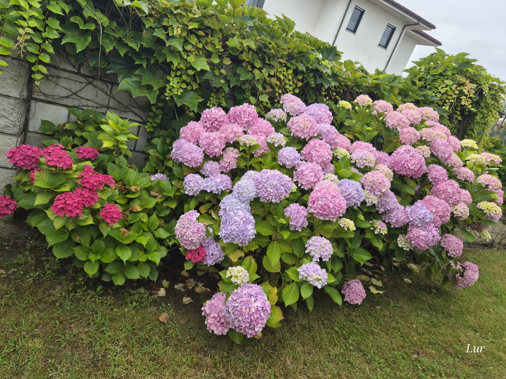 20260620_110459.jpg
