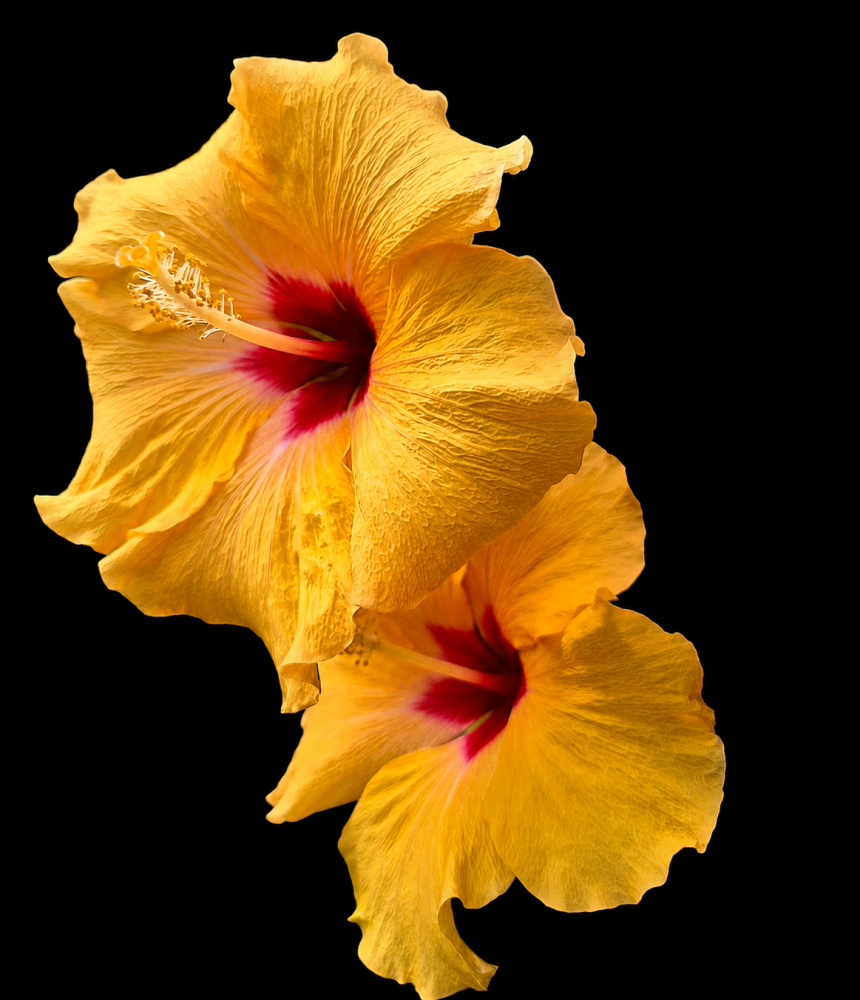 ChatGPT Image 11 jul 2026, 23_34_47.png