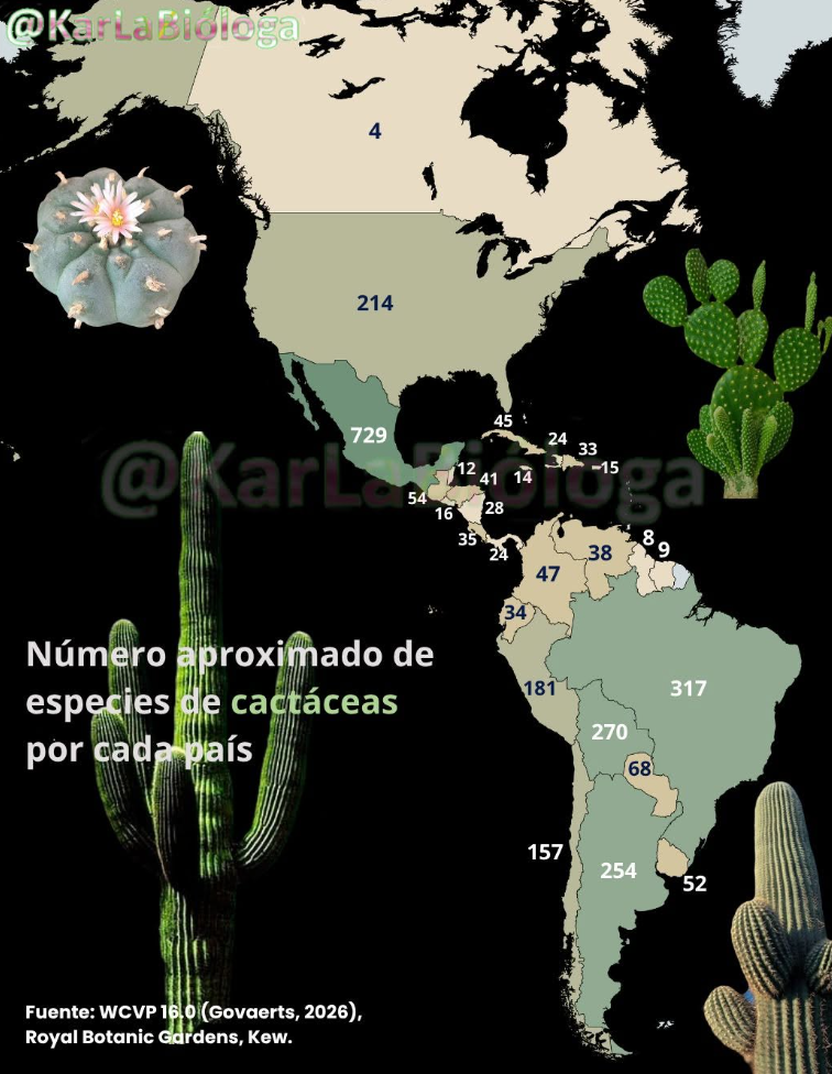 Captura de pantalla 2026-08-21 155519.png