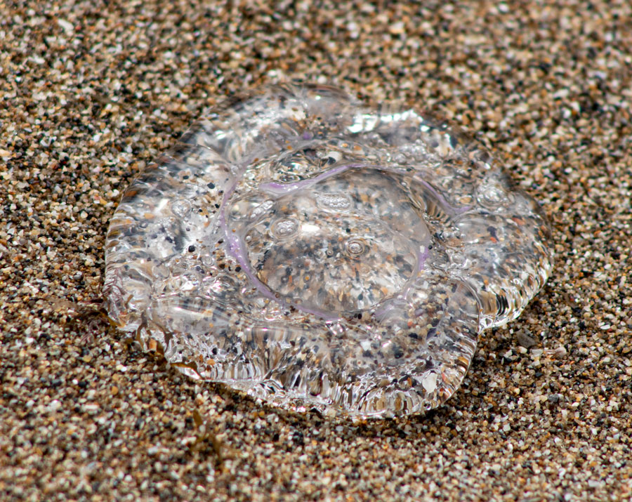 IMG_6656.jpg