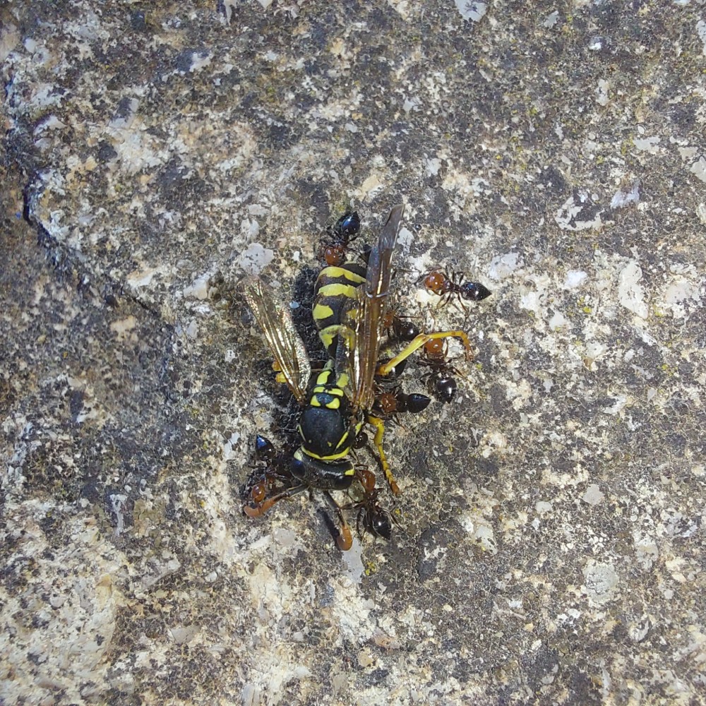 20260830_093901.jpg
