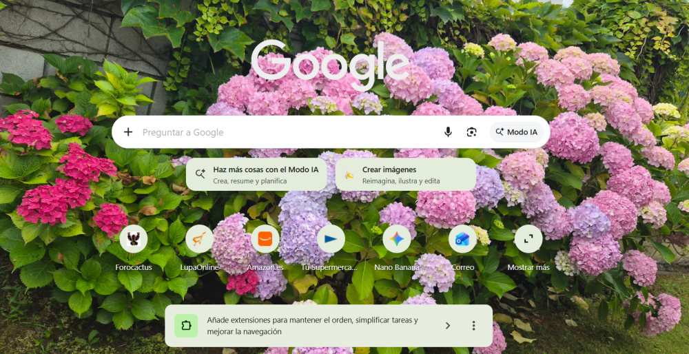 Captura de pantalla 2026-10-04 112445.png