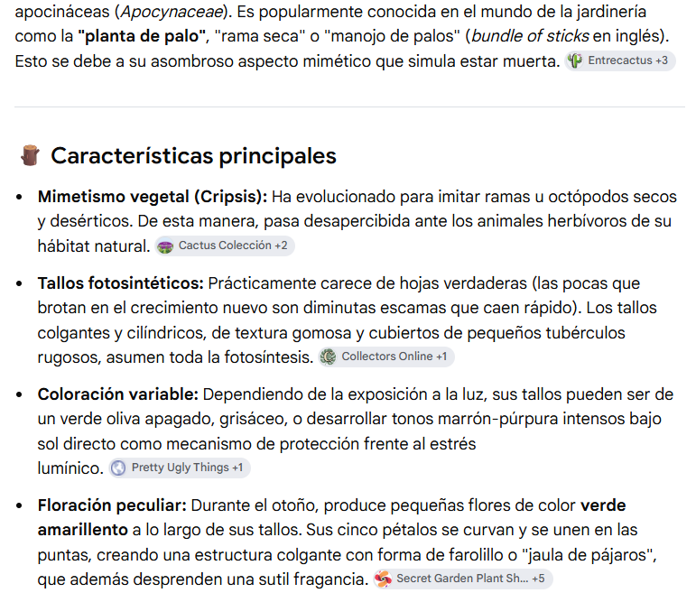 Captura de pantalla 2026-10-17 003730.png
