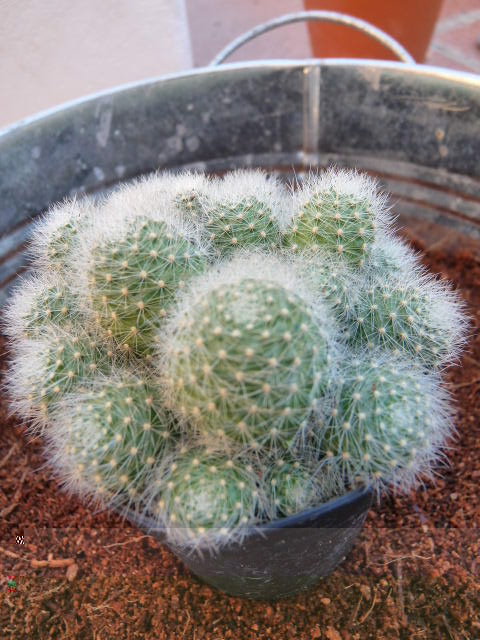P1020284.JPG