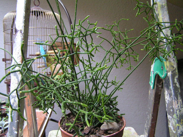 PICT0170.JPG