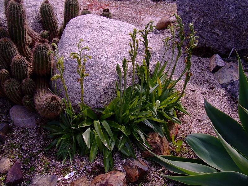 DSCF2419 a.jpg